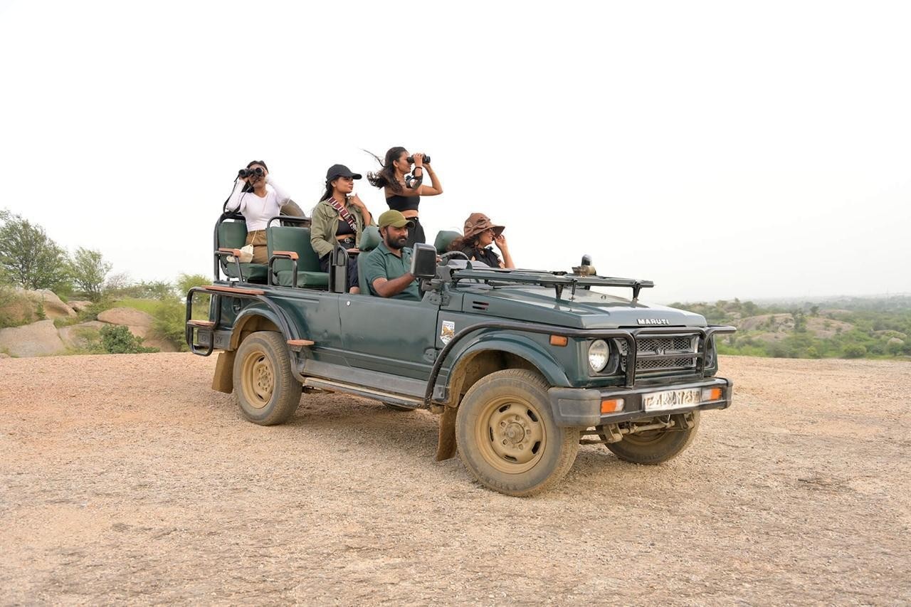 Private safari jeep exclusively for your group